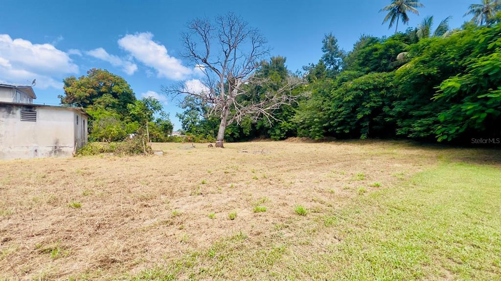 7 CALLE 7, RINCON, PR — photo 5 of 11