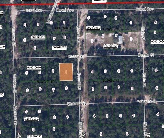 105 DEEDA STREET, FLORAHOME, FL — photo 2 of 2