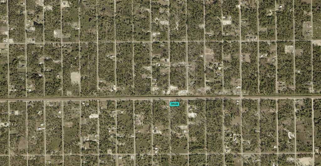 An aerial view shows a rectangular plot of land highlighted in blue along a road — 1124 JOHNS AVENUE, LEHIGH ACRES, FL