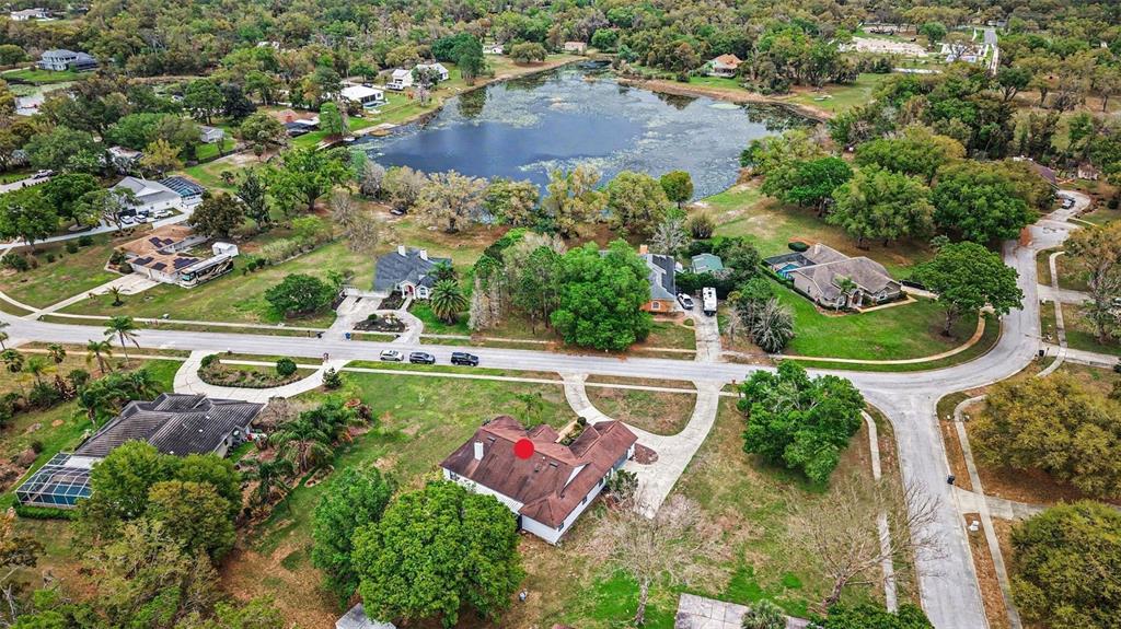 19216 RIDGELAKE DRIVE, LUTZ, FL — photo 5 of 30