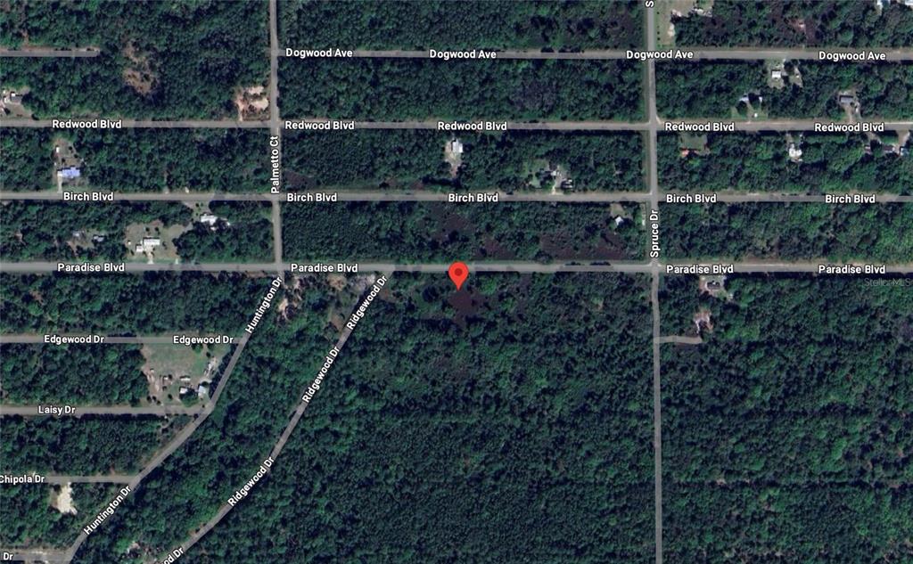 This is an aerial map view of a wooded area with a red location pin — 817 PARADISE BOULEVARD, GEORGETOWN, FL