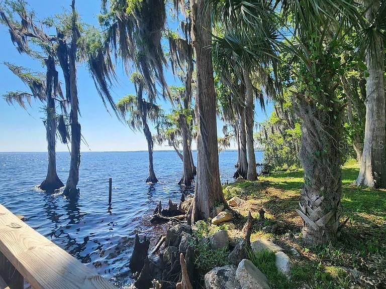 A view of a lake with cypress trees growing in the water and along the shore — 817 PARADISE BOULEVARD, GEORGETOWN, FL