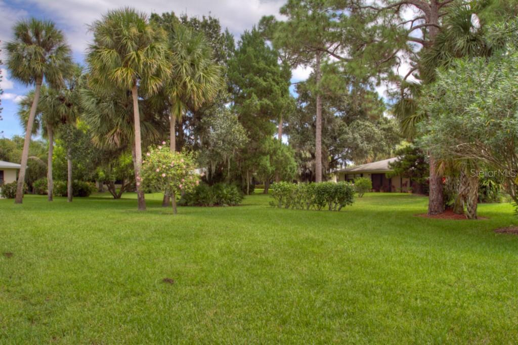 A grassy backyard features various palm trees, mature oaks, and a partial view of a house — 7093 FAIRWAY BEND LANE, SARASOTA, FL