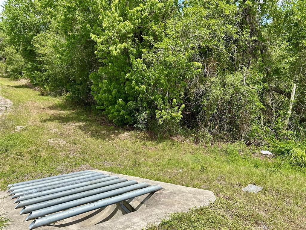 A metal grate covers a concrete drainage culvert near a grassy area and dense trees — BRONCO DRIVE, ZOLFO SPRINGS, FL