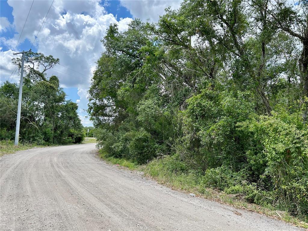 A dirt road curves past a dense area of trees and vegetation under a cloudy sky — BRONCO DRIVE, ZOLFO SPRINGS, FL