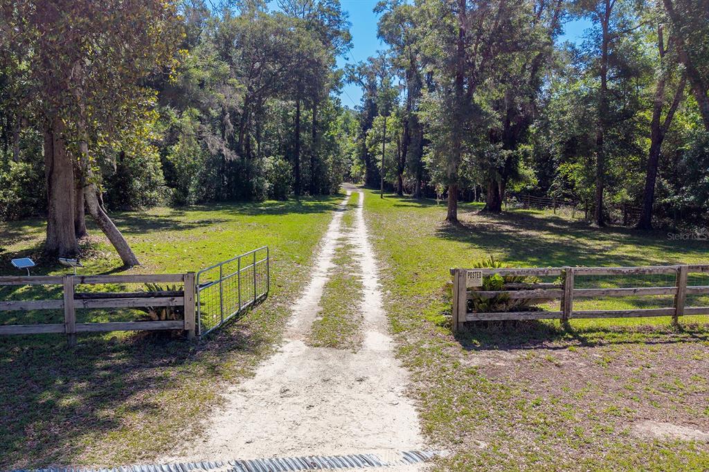 A dirt driveway leads through a gated entrance into a wooded, grassy lot — 343 NE 743RD STREET, OLD TOWN, FL