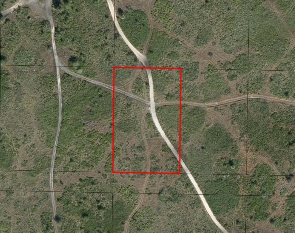 This is an aerial map view of a dirt road intersection in a grassy field — 0 NW 318th Street, Okeechobee FL 34972, OKEECHOBEE, FL