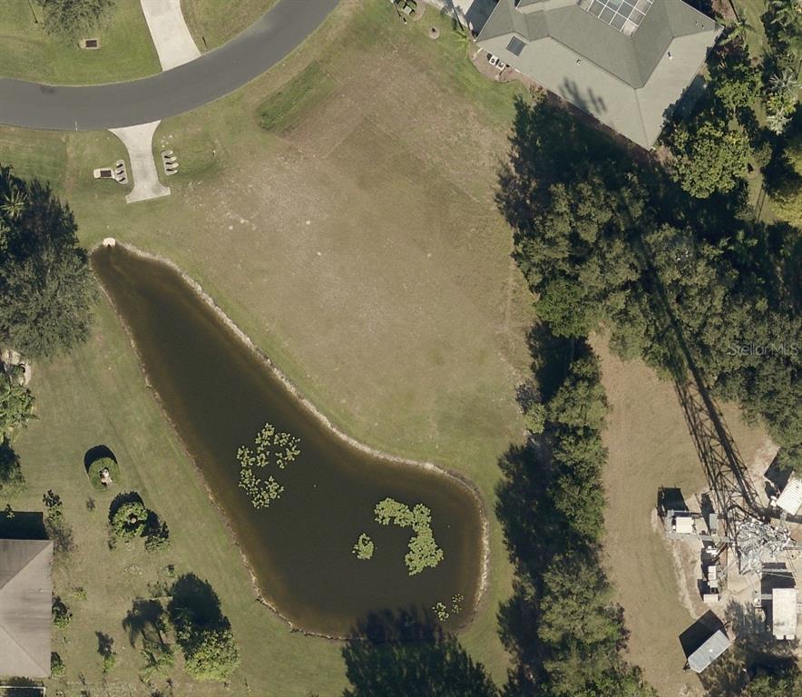 An aerial view shows a vacant grassy lot featuring a pond with lily pads — 19915 DOLORES ANN COURT, LUTZ, FL