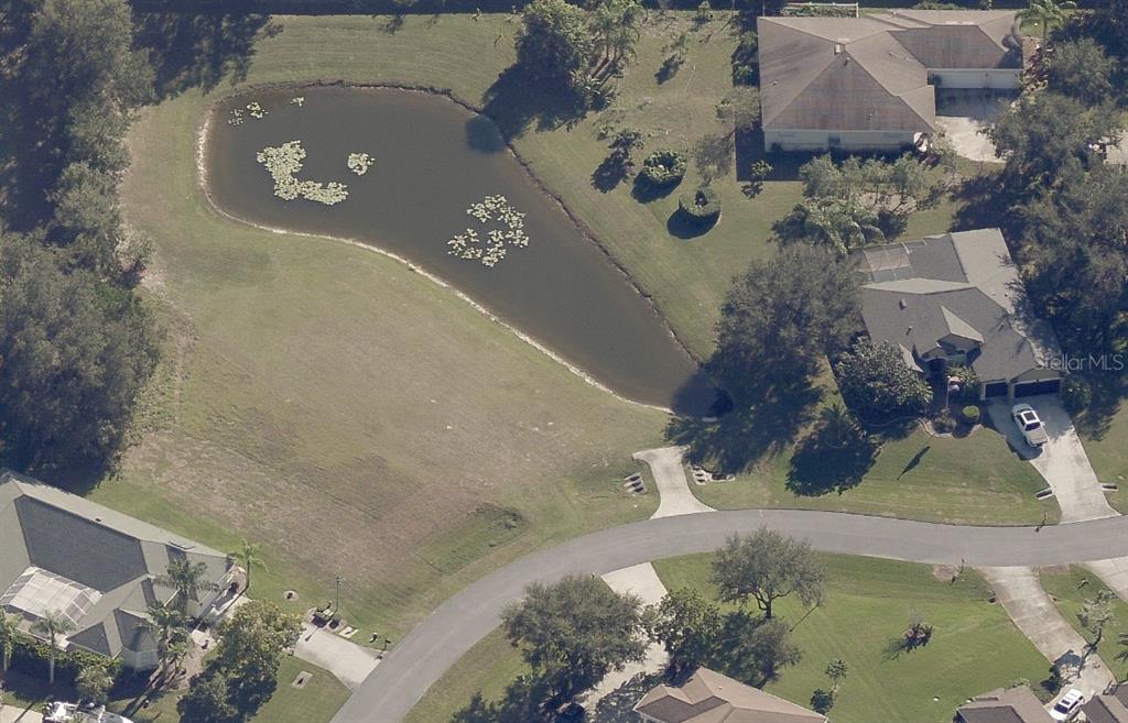 An aerial view shows a residential pond surrounded by a grassy yard and nearby houses — 19915 DOLORES ANN COURT, LUTZ, FL
