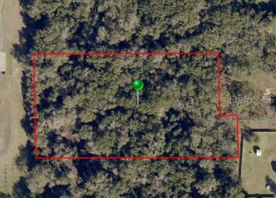 An aerial view shows a rectangular, tree-covered plot of land outlined in red — S ADELLE, DELAND, FL