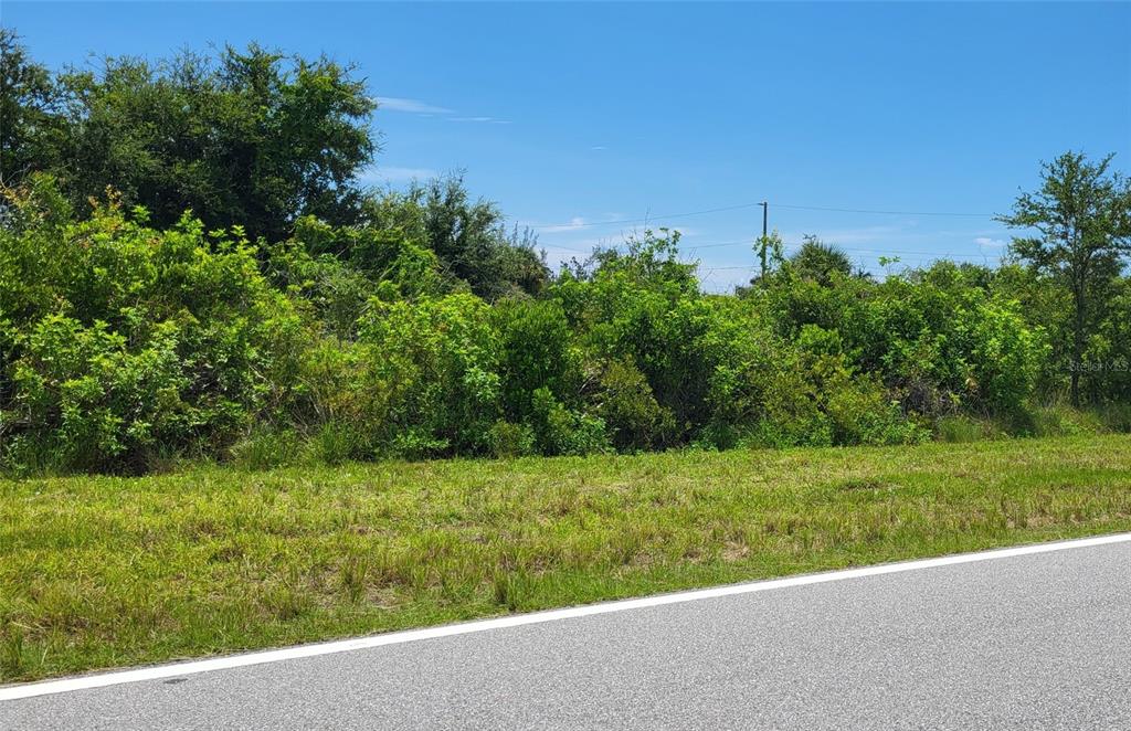 A paved road runs alongside a grassy lot filled with dense green trees and shrubs — 10528 ST. PAUL DRIVE, PORT CHARLOTTE, FL