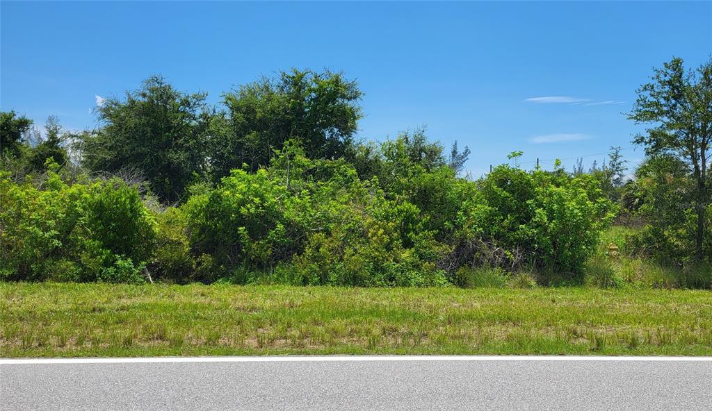 A vacant, overgrown lot with dense green vegetation and a fire hydrant along the road — 10528 ST. PAUL DRIVE, PORT CHARLOTTE, FL