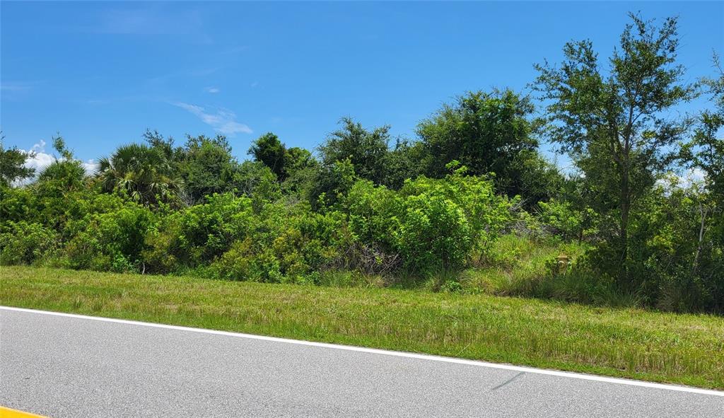 A paved road runs in front of a dense, overgrown wooded lot under a blue sky — 10528 ST. PAUL DRIVE, PORT CHARLOTTE, FL