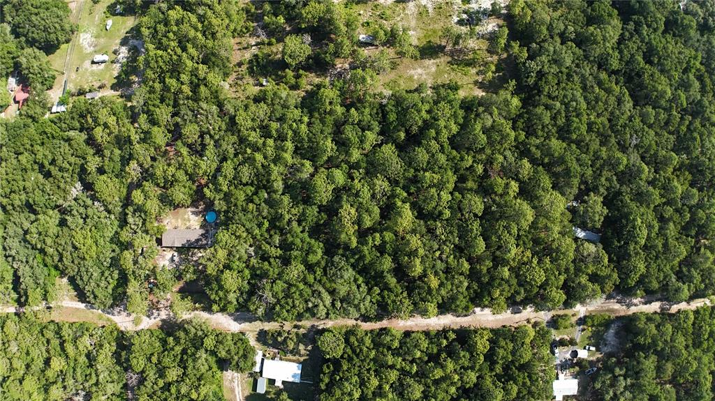 An aerial view shows a wooded lot with a house, a pool, and dirt roads — SW 153RD LANE, DUNNELLON, FL
