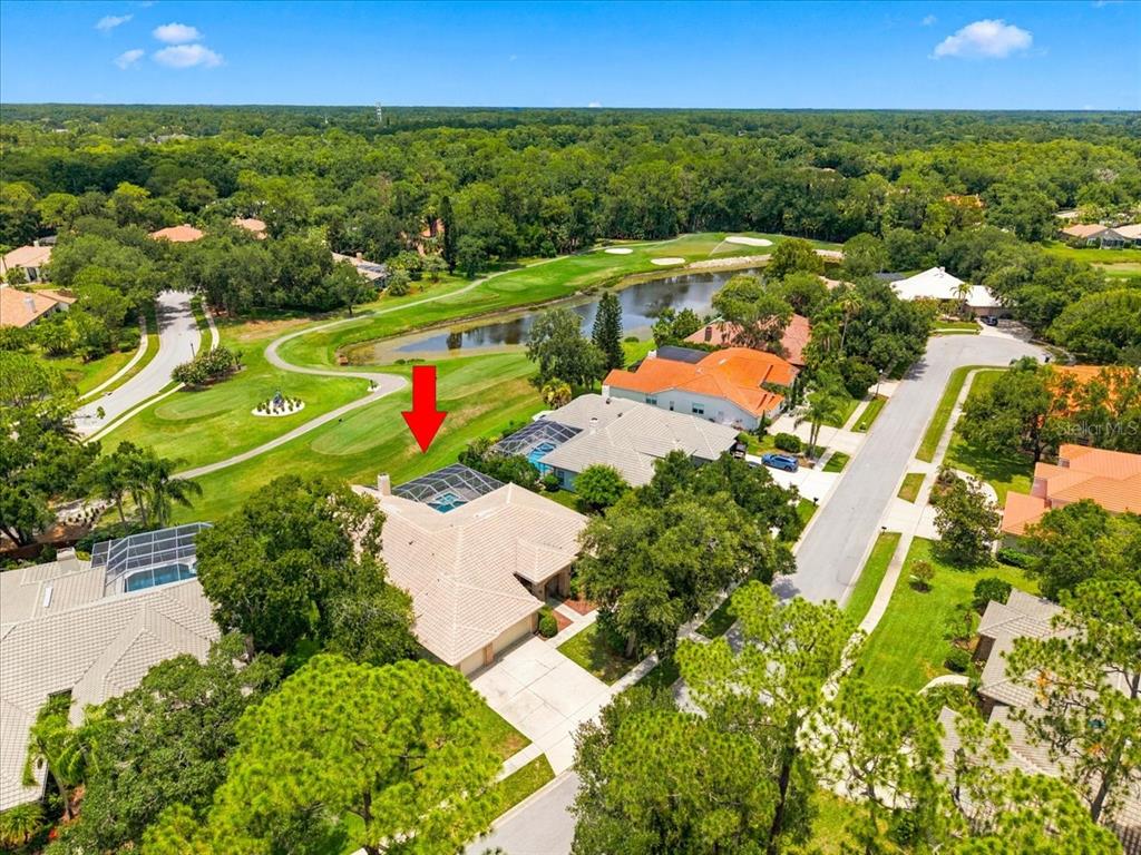An aerial view of a suburban house with a screened pool overlooking a golf course — 85 KELLEYS TRAIL, OLDSMAR, FL