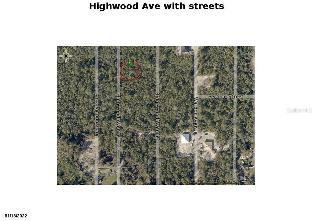 This is an aerial map showing a wooded lot marked with a red rectangle — HIGHWOOD (PAPER) AVENUE, ORANGE CITY, FL