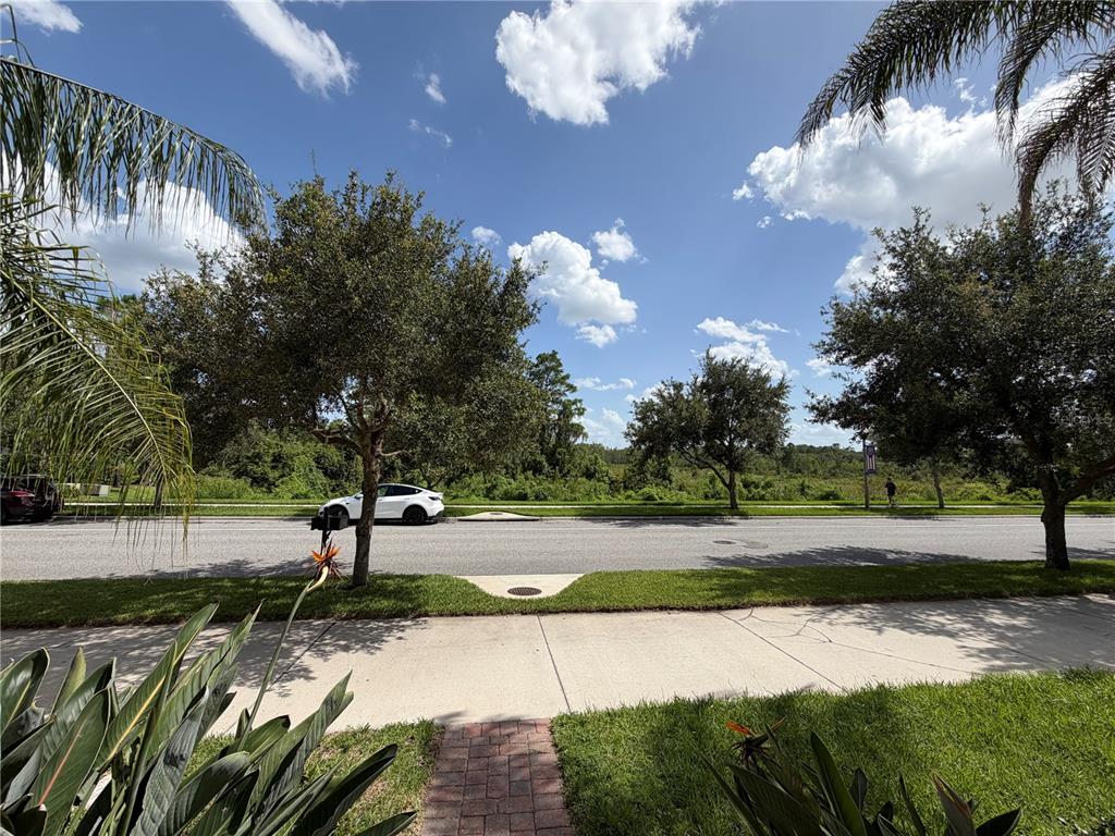 A view from a sidewalk looking across a street toward trees and a white car — 15171 BRIDGEWATER CROSSINGS BOULEVARD, WINTER GARDEN, FL
