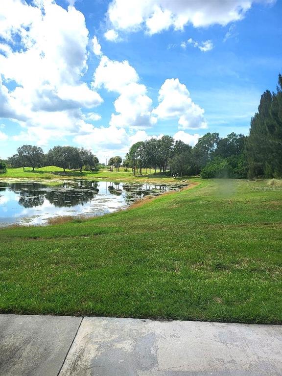 A grassy lawn slopes down toward a pond surrounded by trees under a blue sky — 424 LAKE POINT COURT UNIT 5A, SUN CITY CENTER, FL