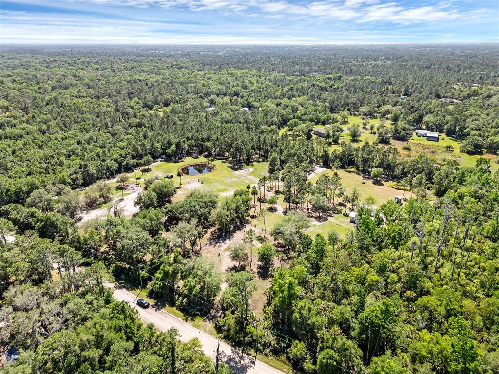 An aerial view shows a rural property with a pond, scattered trees, and a road — 2321 WACCASSA STREET, GENEVA, FL