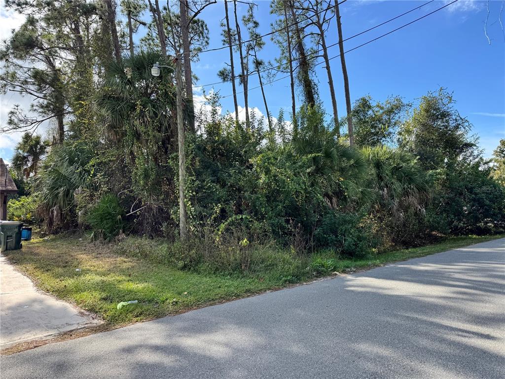 A vacant, heavily wooded lot sits along a paved residential street — TISHMAN AVENUE, NORTH PORT, FL