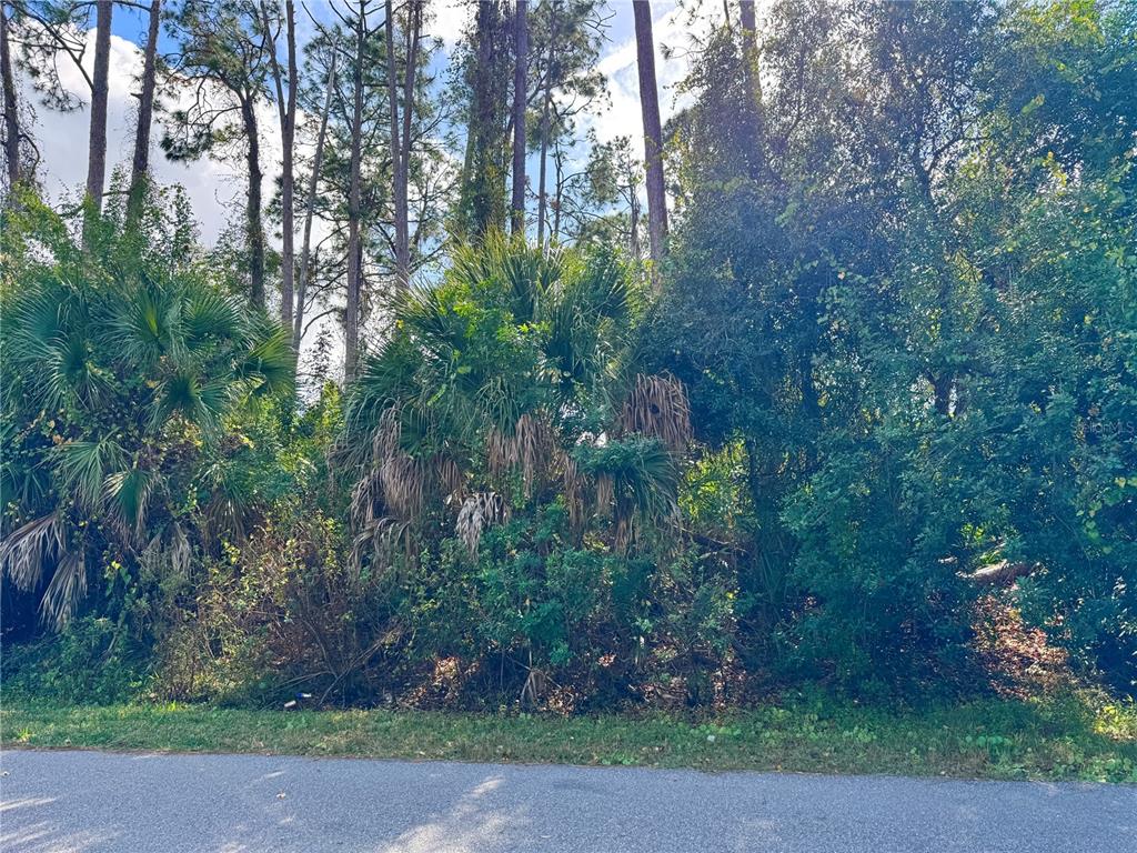 A view of a wooded, undeveloped lot with tall pine trees and dense palmetto bushes — TISHMAN AVENUE, NORTH PORT, FL