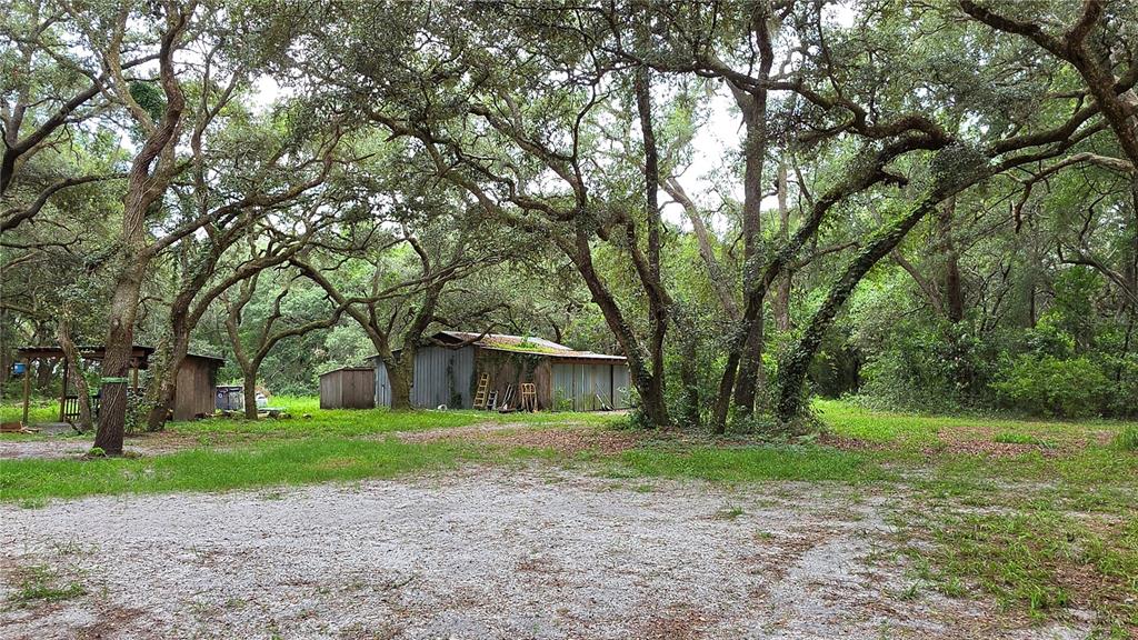 A gravel clearing leads to a metal shed and a small wooden structure under trees — 12590 NW 82ND COURT, CHIEFLAND, FL