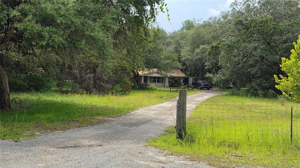 A gravel driveway leads to a single-story house surrounded by trees and a wire fence — 12590 NW 82ND COURT, CHIEFLAND, FL