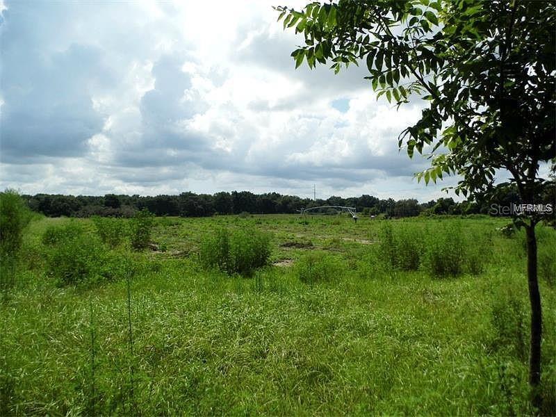 A wide, grassy field stretches toward a distant tree line under a cloudy sky — 10201 TIMMONS ROAD, THONOTOSASSA, FL