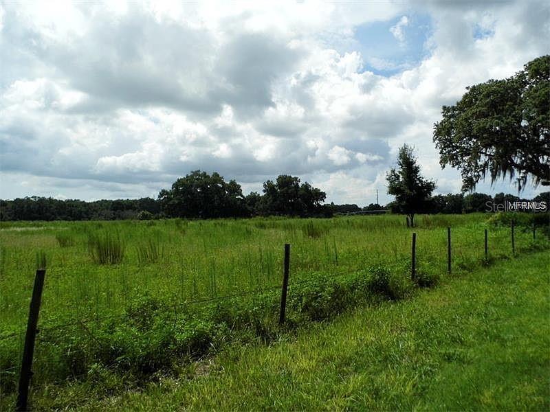 A wire fence borders a large, grassy field under a cloudy sky — 10201 TIMMONS ROAD, THONOTOSASSA, FL