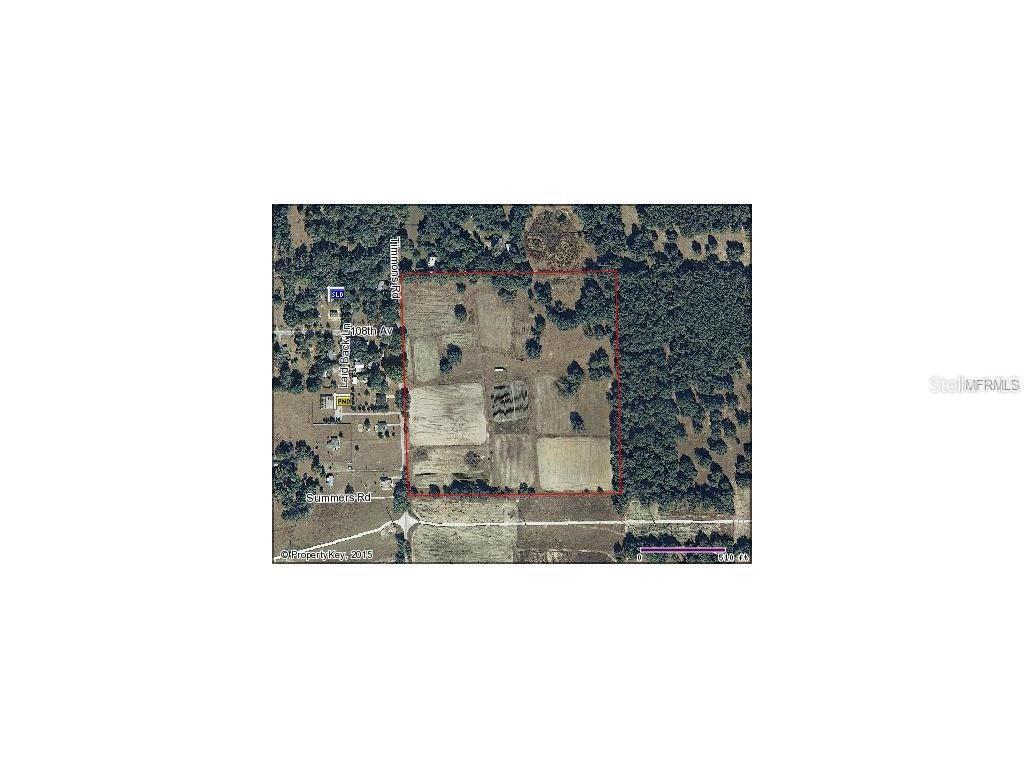 This is an aerial map showing a rectangular plot of land outlined in red — 10201 TIMMONS ROAD, THONOTOSASSA, FL