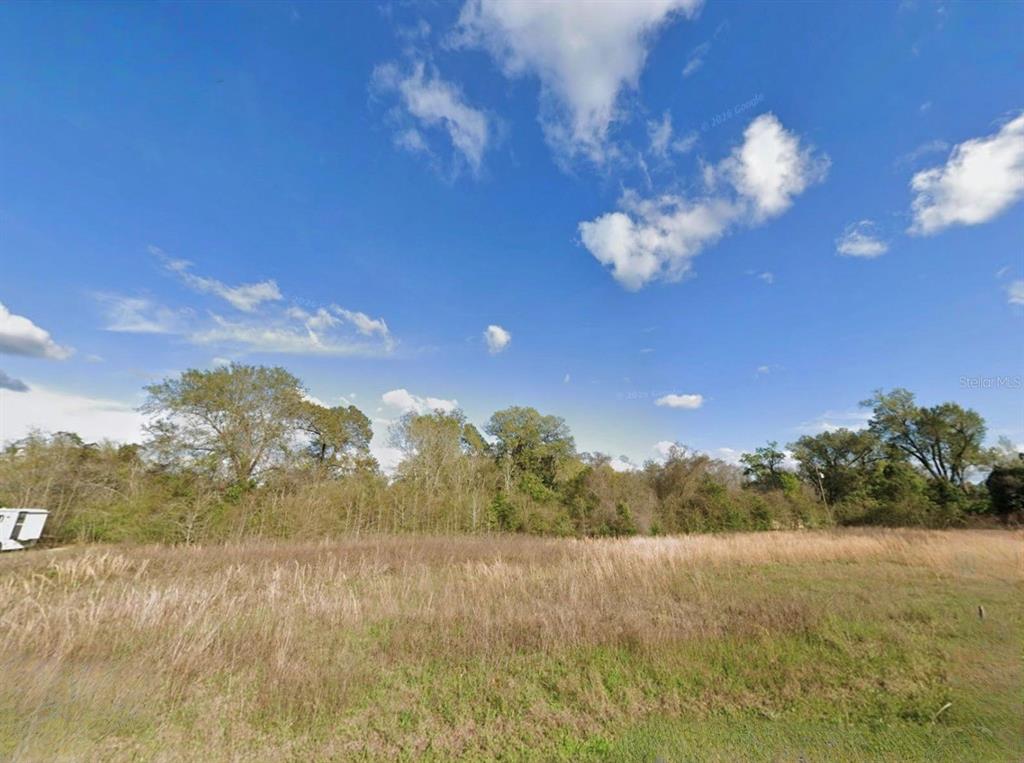 A grassy, undeveloped lot features a line of trees under a blue sky — AARON AVENUE, GRAND RIDGE, FL