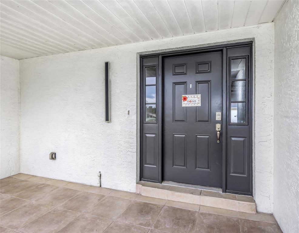 A dark gray front door with sidelights is set against a white stucco exterior wall — 4030 FIELDGREEN PLACE, LAND O LAKES, FL