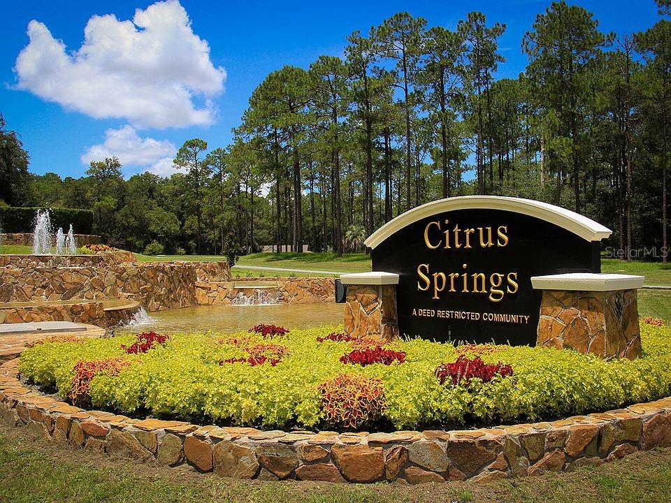 A stone sign for Citrus Springs stands in front of a fountain and pine trees — 671 W HALLAM DRIVE, DUNNELLON, FL