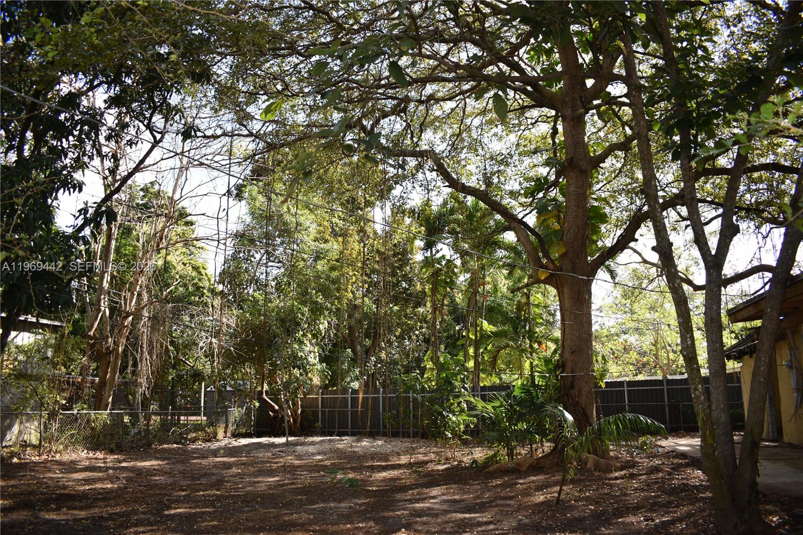 A large, shaded backyard features mature trees, a fence, and a dirt ground surface — 14015 NE 11th Ave, North Miami FL 33161, NORTH MIAMI, FL
