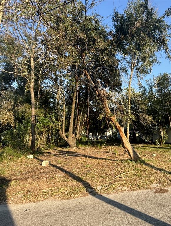 14530 6TH STREET, DADE CITY, FL — photo 4 of 7