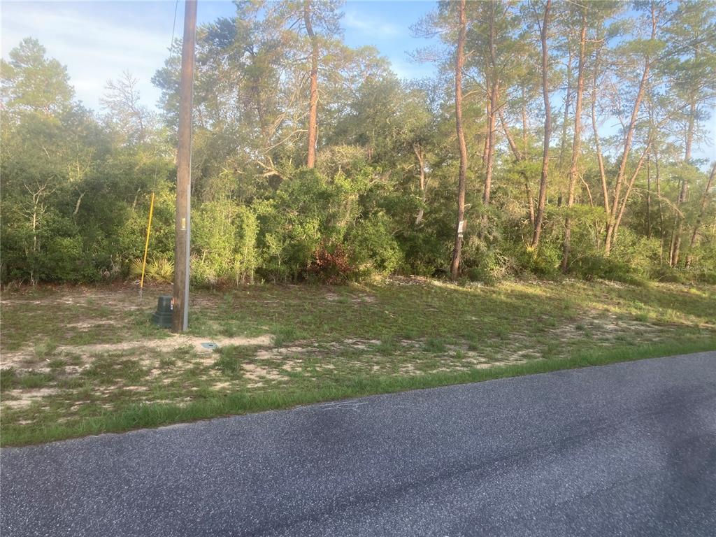 A vacant, wooded residential lot sits adjacent to an asphalt road with a utility pole — 00 SW 50TH TERRACE ROAD, OCALA, FL