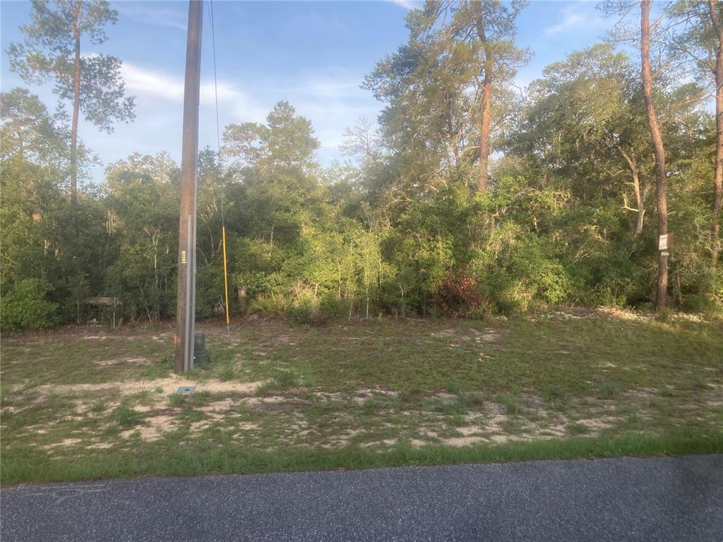 A vacant, wooded residential lot sits behind a paved road and a utility pole — 00 SW 50TH TERRACE ROAD, OCALA, FL