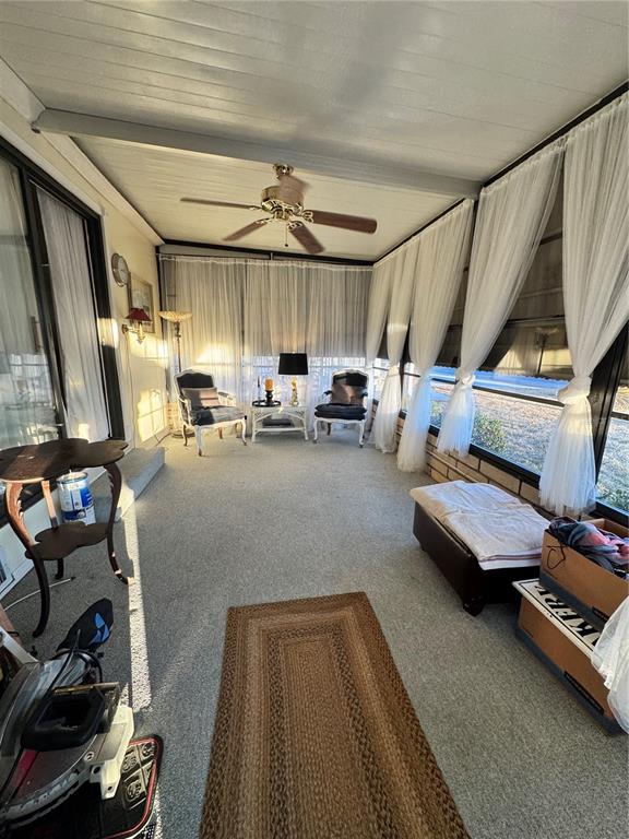 34335 TIMBERLAND BOULEVARD, WESLEY CHAPEL, FL — photo 4 of 17