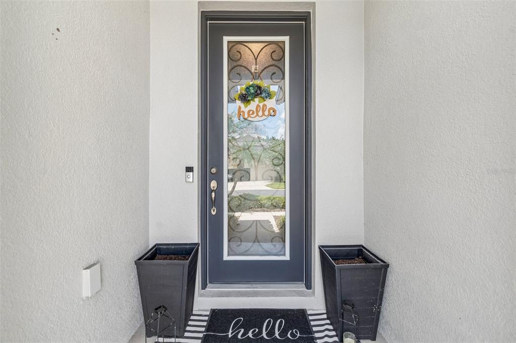A dark gray front door with a decorative glass insert sits between two black planters — 4123 WINDCREST DRIVE, WESLEY CHAPEL, FL