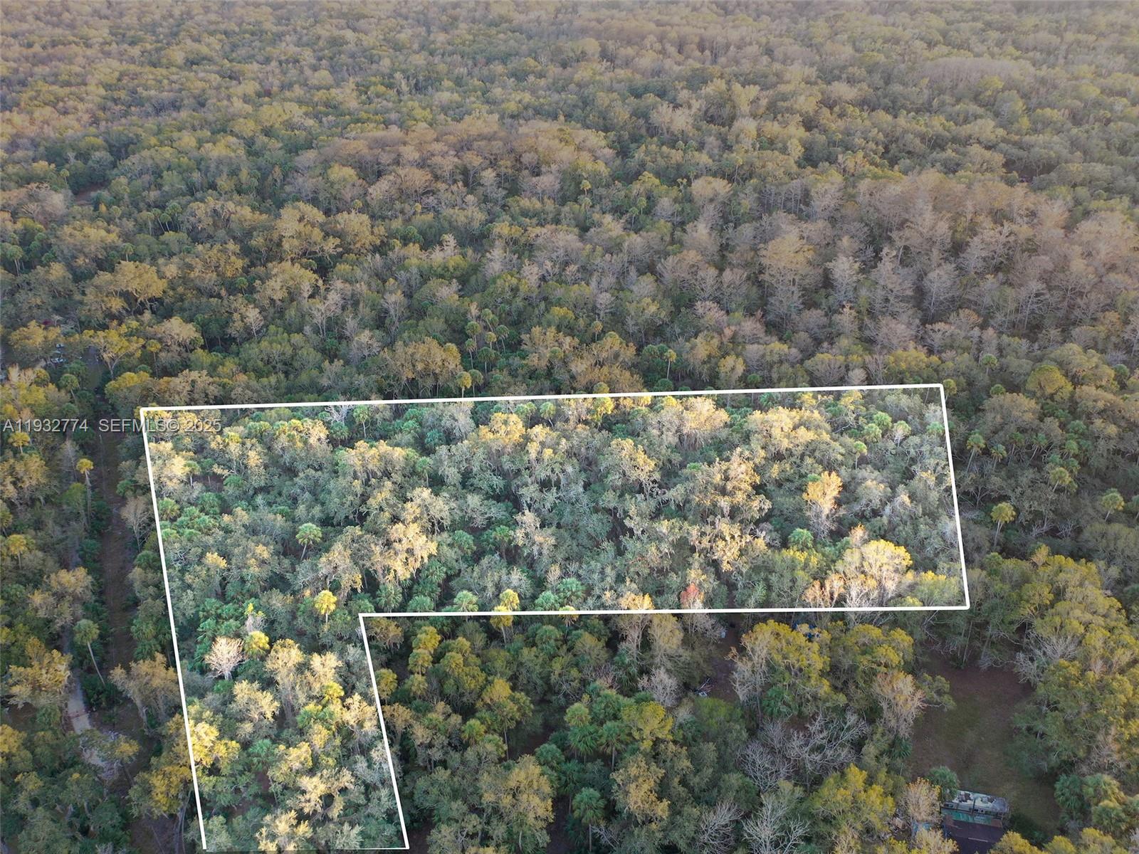 An aerial view shows a wooded lot outlined in white against a dense forest — 13254 E SHAWNEE TRL, Inverness FL 34450, INVERNESS, FL