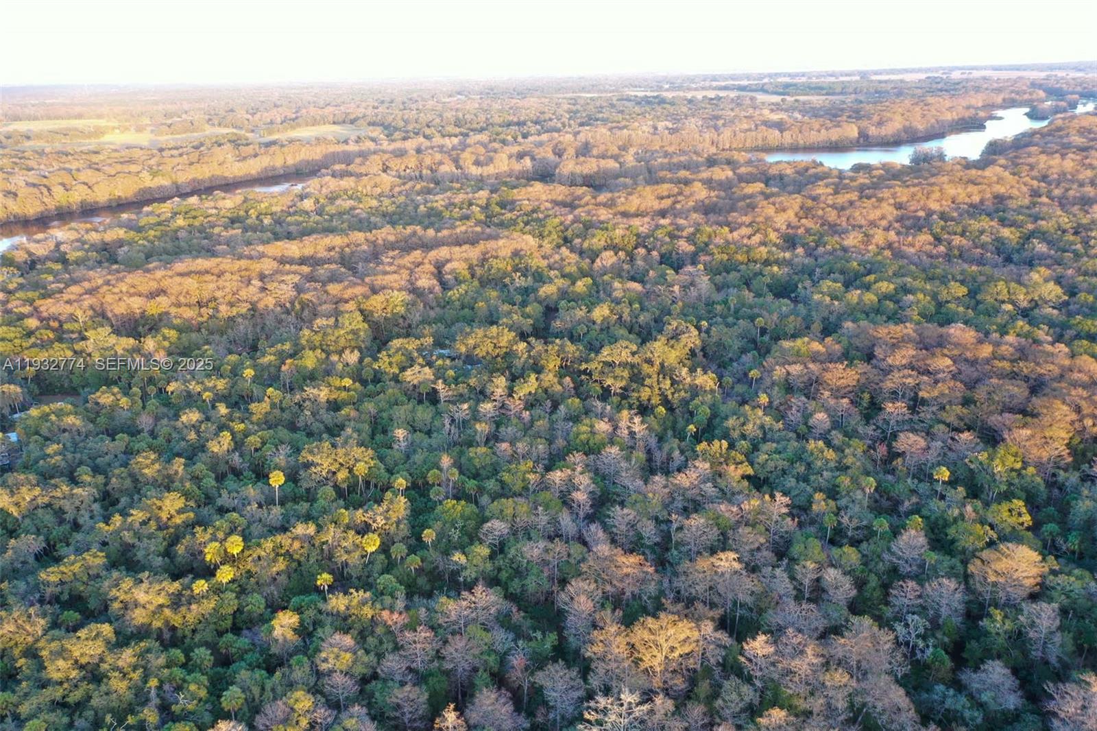 An aerial view shows a dense, wooded forest landscape with a winding river in the background — 13254 E SHAWNEE TRL, Inverness FL 34450, INVERNESS, FL