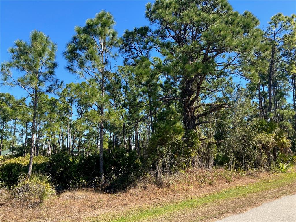 26334 EAGER ROAD, PUNTA GORDA, FL — photo 3 of 8