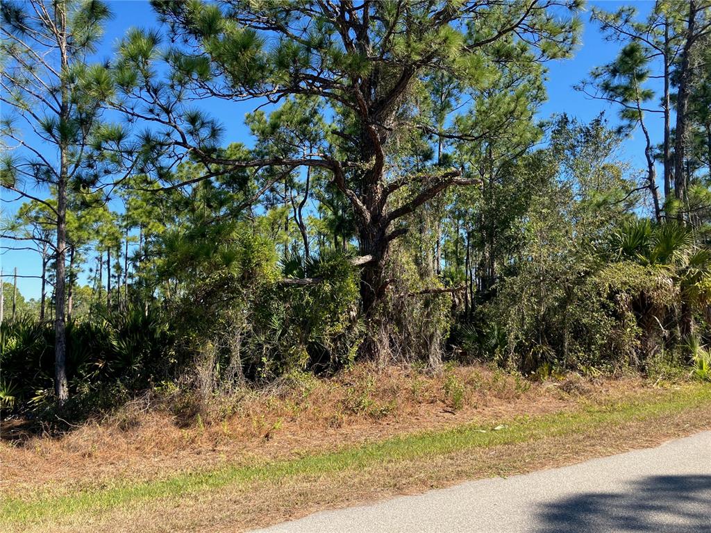 26334 EAGER ROAD, PUNTA GORDA, FL — photo 4 of 8