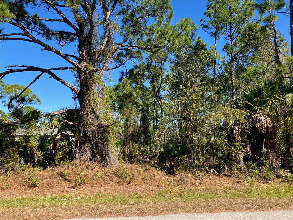 26334 EAGER ROAD, PUNTA GORDA, FL — photo 5 of 8