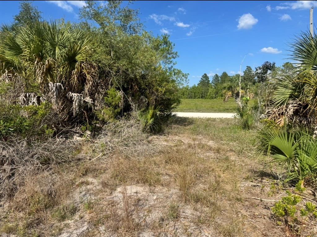 A view of a sandy, overgrown vacant lot with dense vegetation and a dirt road — 18455 QUIET ROAD, WEEKI WACHEE, FL