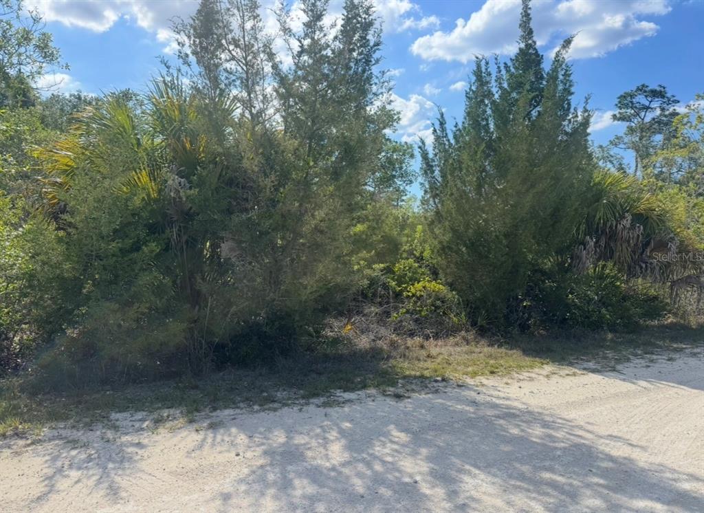 A dirt road runs in front of a dense, wooded lot with trees and shrubs — 18455 QUIET ROAD, WEEKI WACHEE, FL