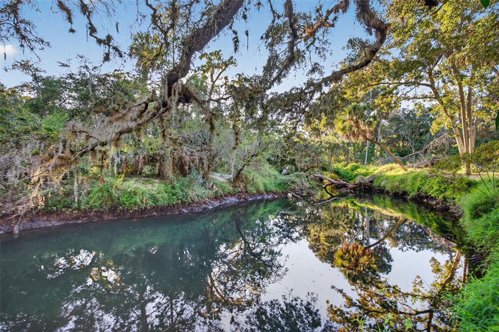 A calm creek flows through a wooded area with moss-draped oak trees and lush vegetation — 6345 LOST TRAIL, HOLIDAY, FL