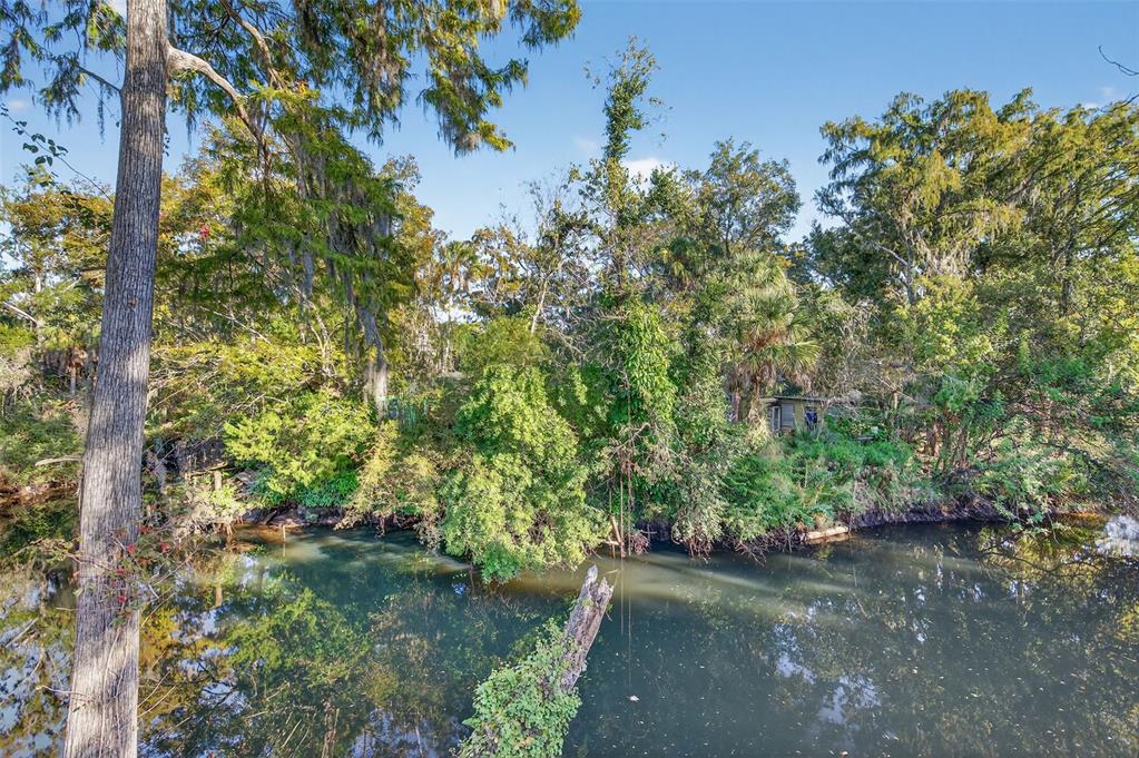 A view of a calm, dark creek surrounded by dense trees and lush vegetation — 6345 LOST TRAIL, HOLIDAY, FL