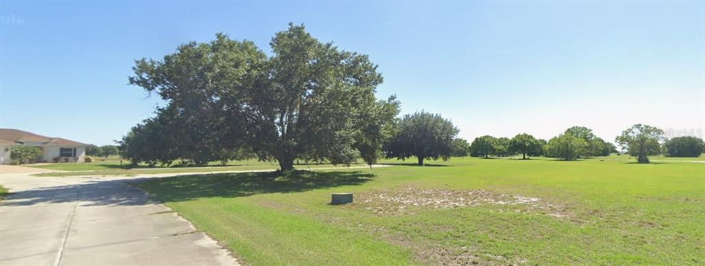 A large oak tree stands in a grassy field next to a concrete driveway — 1209 GOLF COURT, SEBRING, FL