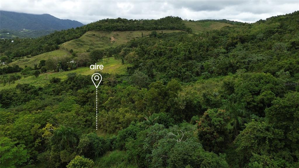 An aerial view shows a large, hilly, and heavily forested plot of land — Lot 7 Km 61 PR-3 Int DAGUAO WARD, CEIBA, PR